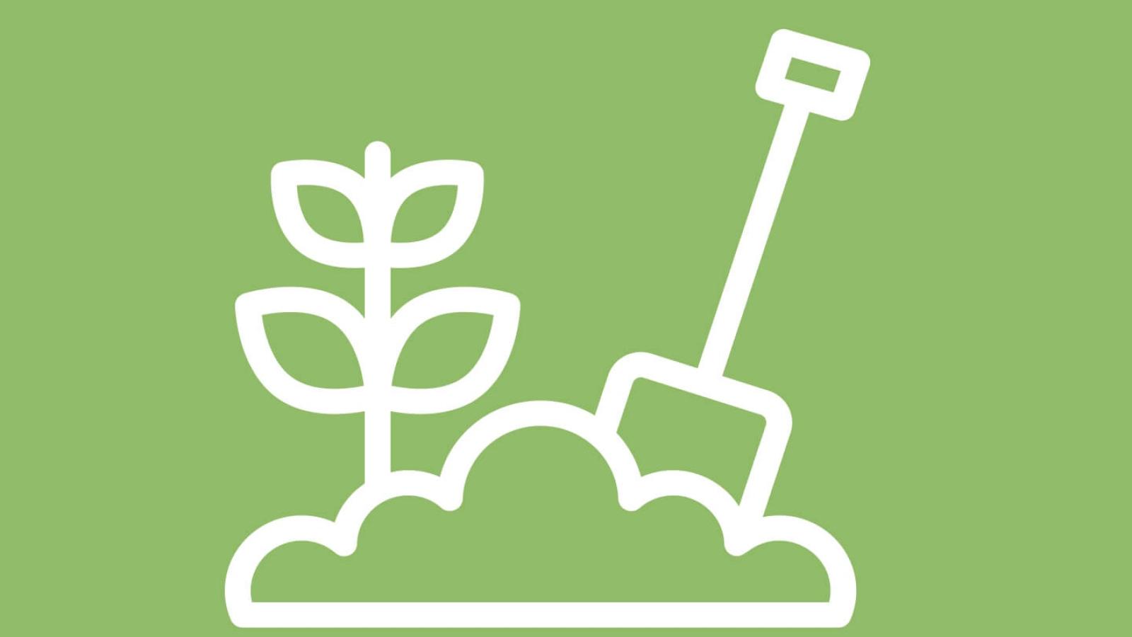 Garden Volunteer